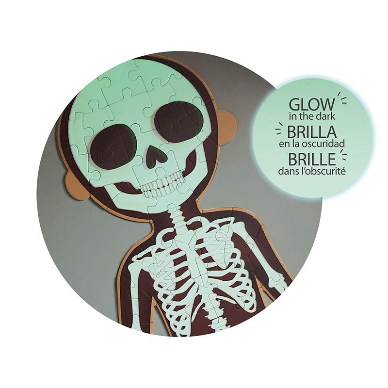 Puzzle Educativo do Corpo Humano - Imagem 3