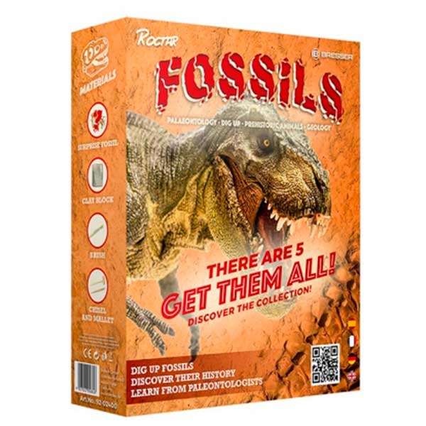 Kit Geologia Paleontologia Fossils