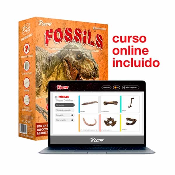 Paleontology Geology Kit Fossils - Imagem 1