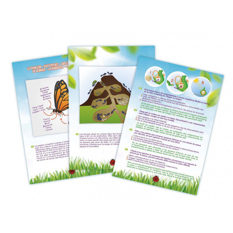 Kit Maleta Explorador Insectos - Imagen 3