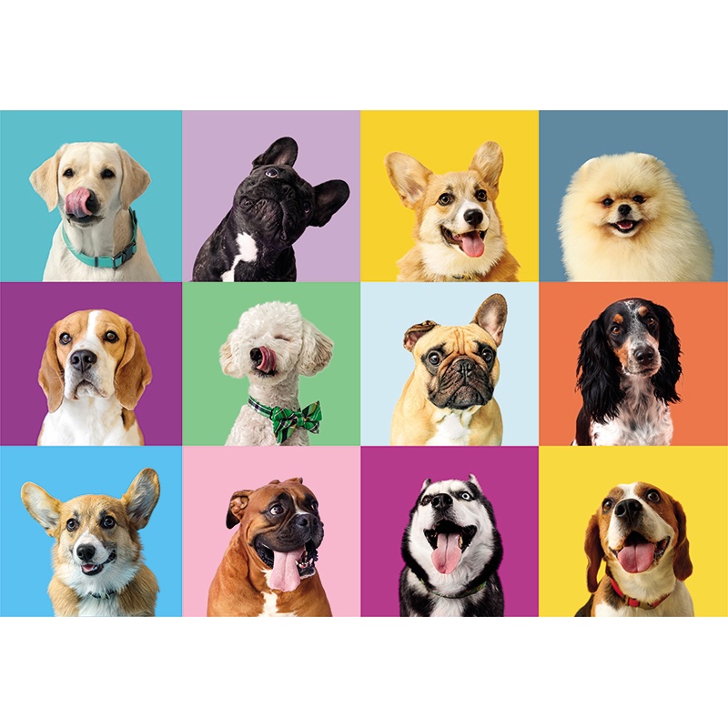 Puzzle 300p Funny Faces - Imagen 1