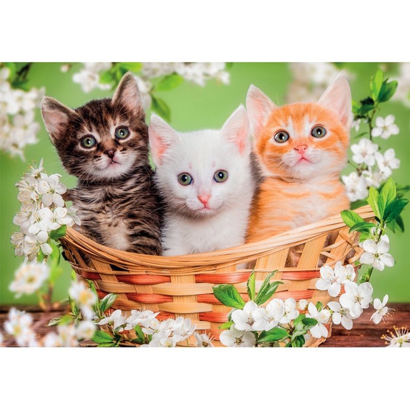 Puzzle Hermanos Gatos y Perros 2x60p - Imagen 1