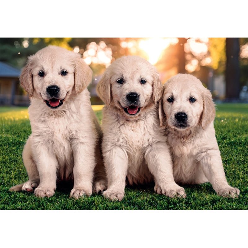Puzzle Hermanos Gatos y Perros 2x60p - Imagen 2
