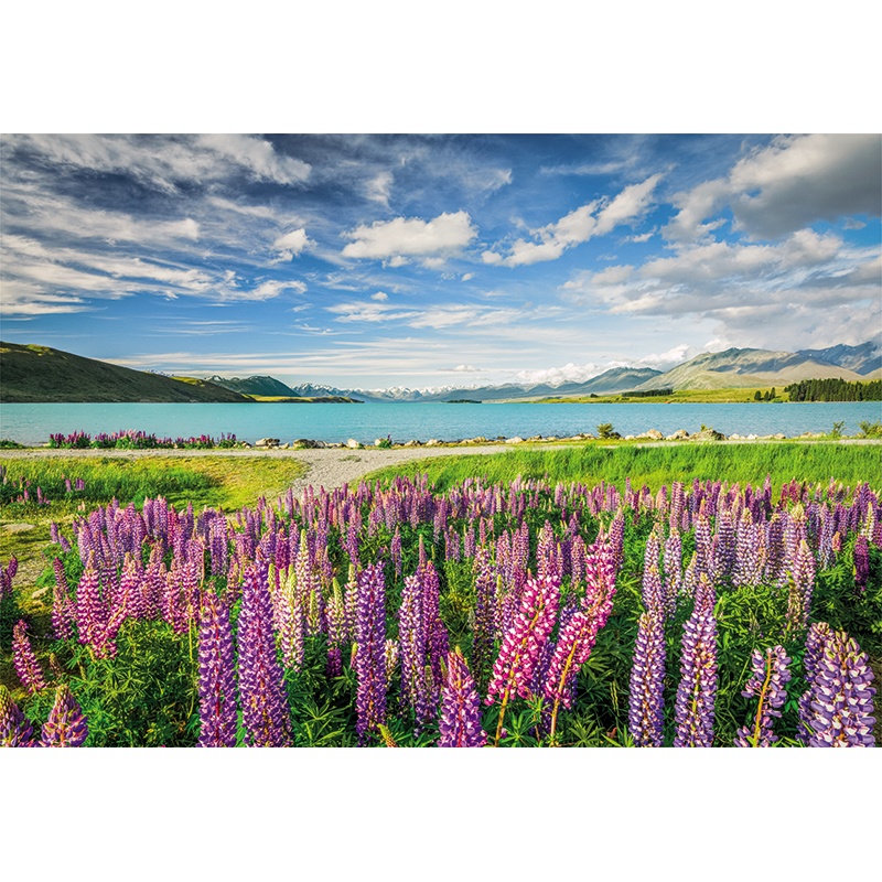 Puzzle 1500p Lupines at Lake Tekapo - Imagen 1