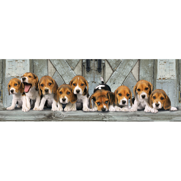 Puzzle 1000p Gossets Beagles Panorama - Imatge 1