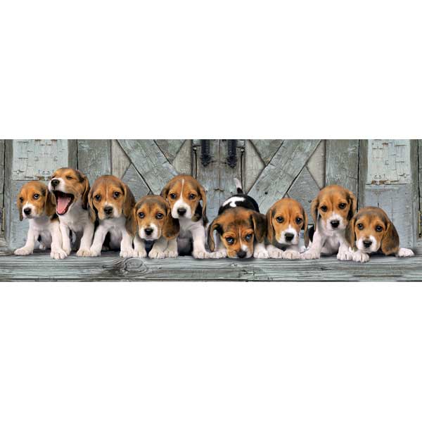 Puzzle 1000p Beagles Panoramico - Imagen 1