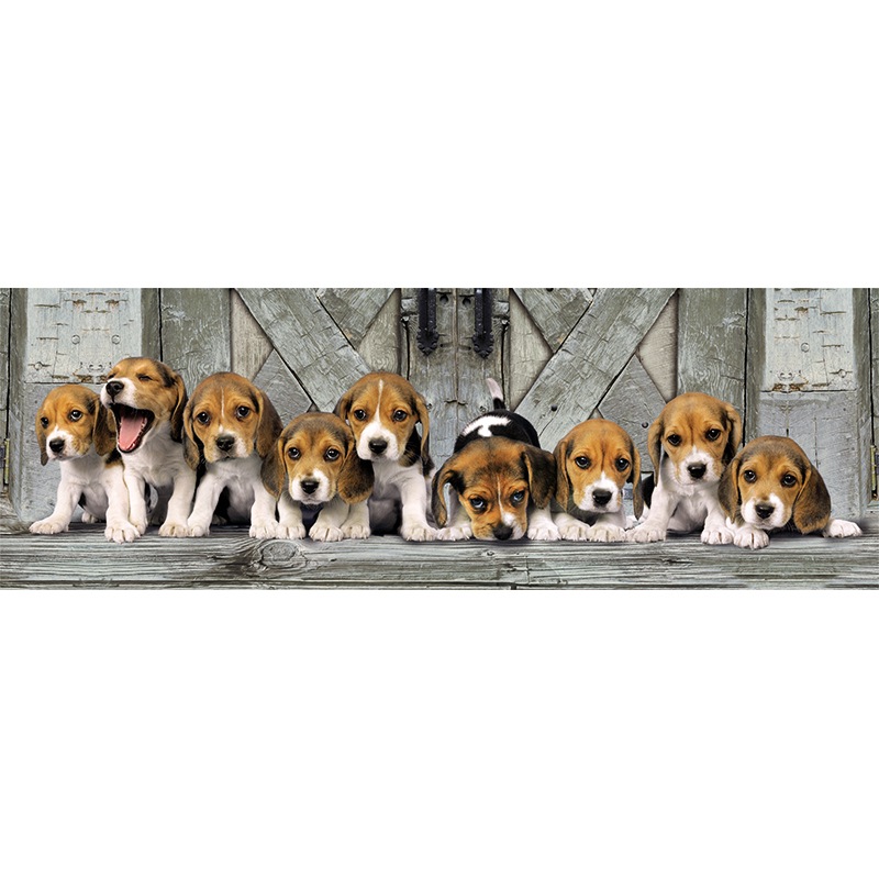 Puzzle 1000p Beagles Panoramic - Imagen 1