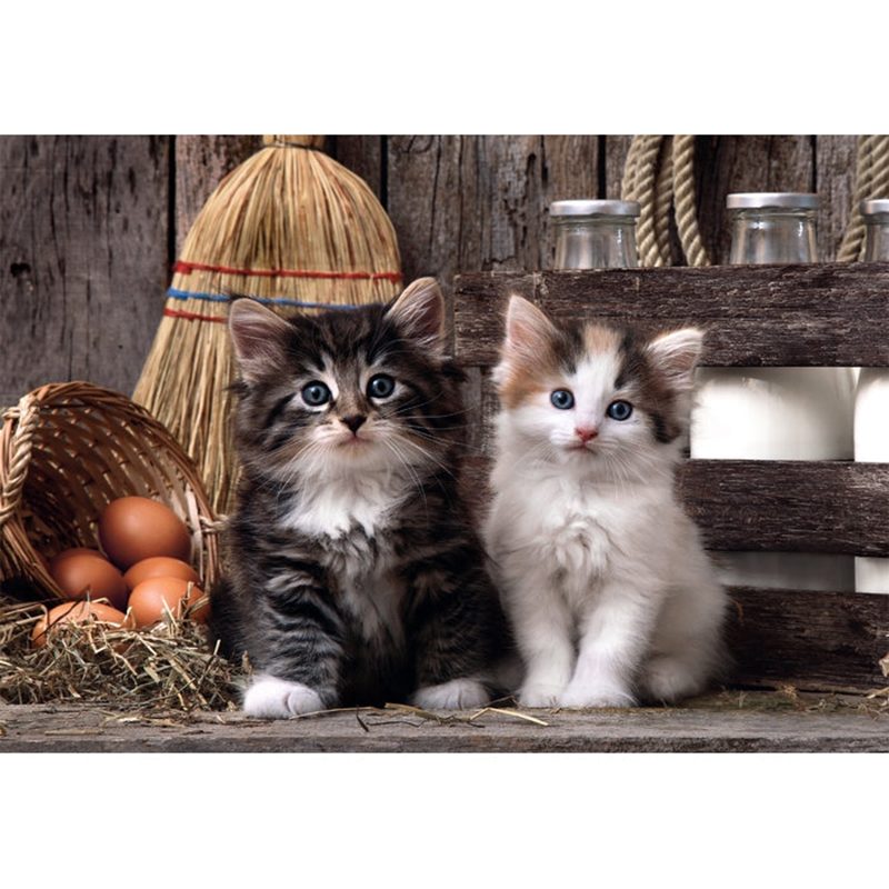Puzzle Lovely Kittens 1000p - Imagen 1