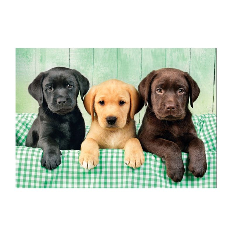 Puzzle 1000p Tres Labradores - Imagen 1