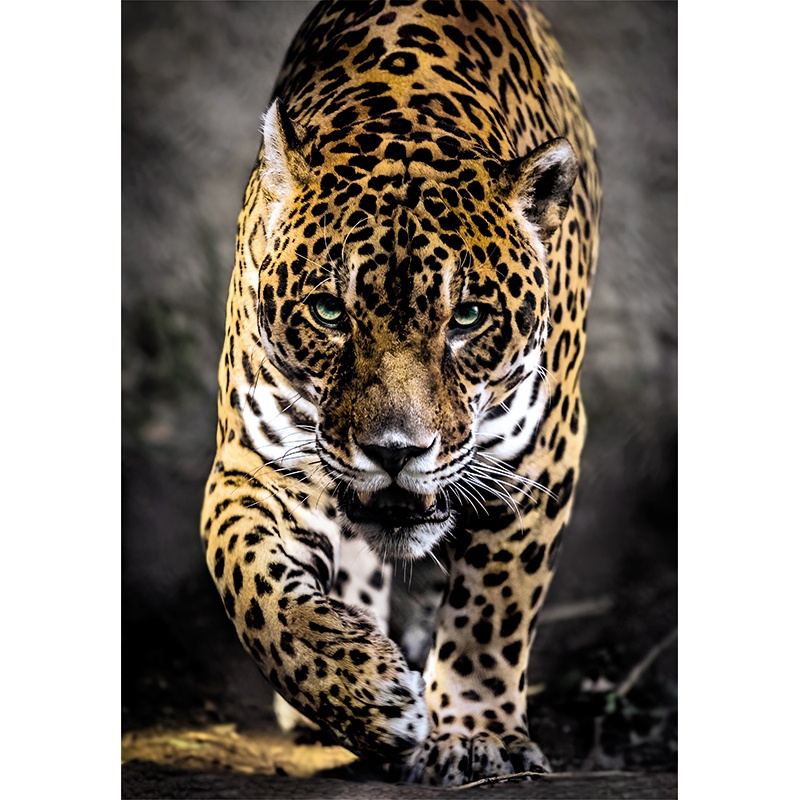 Puzzle 1000p Jaguar - Imagen 1