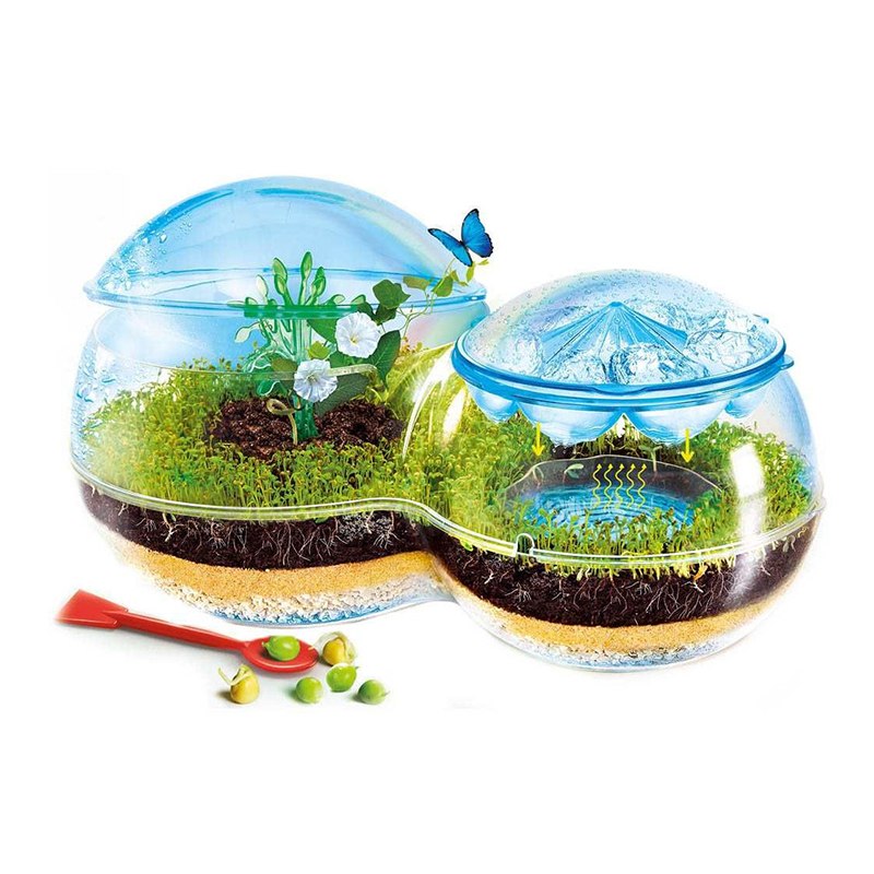 Juego científico - La Biosfera - Imagen 2