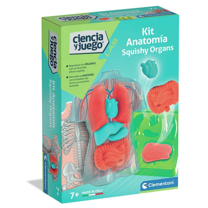 Ciència i Joc - Mini anatomia Squishy Organs