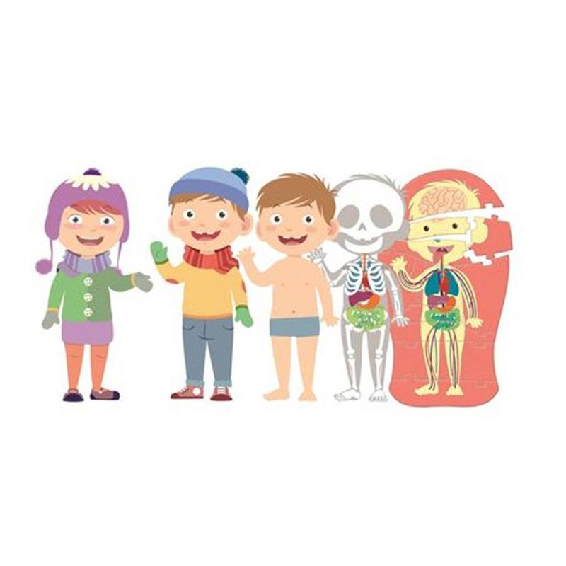 Juego educativo El Cuerpo Humano - Imatge 1