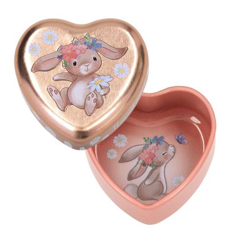 Princess Mimi Caixinha Metálica para Dentes - Imagem 2