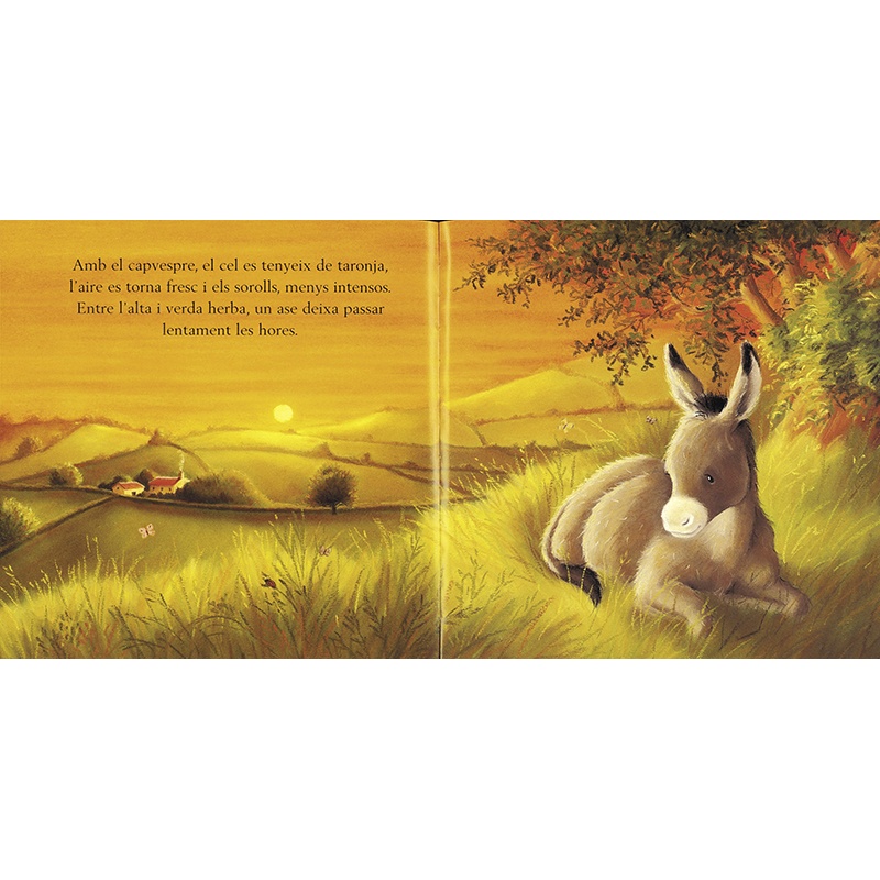 Libro infantil Un Dia Amb Els Animals - Imagen 1