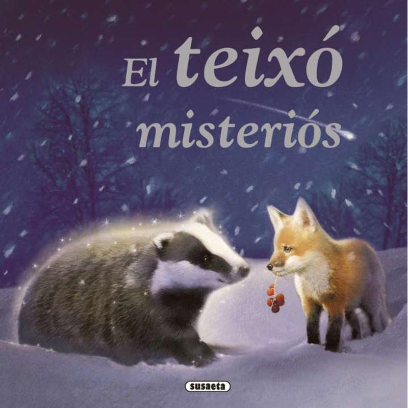 Libro infantil El Teixo Misterios