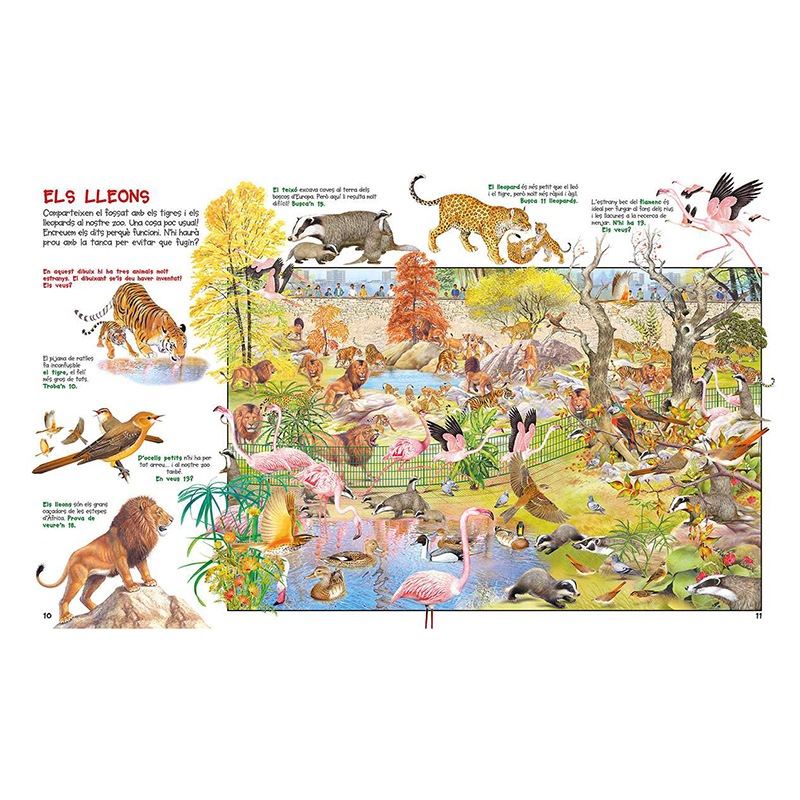 Libro Infantil Busca els Animals del Zoo - Catalán - Imagen 1