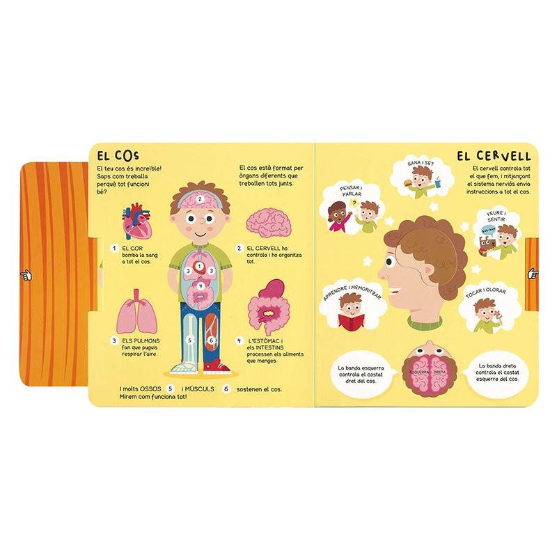 Libro Infantil El Cos Humà - Catalán - Imagen 1