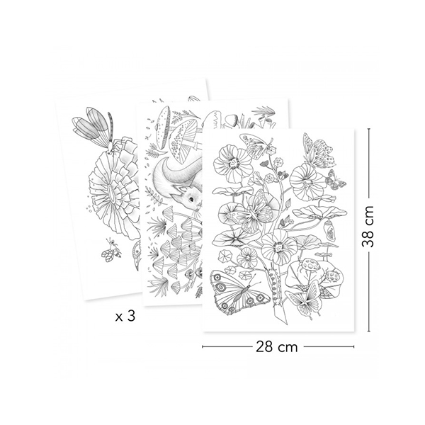 Djeco Posters Colouring Gallery Naturalist - Imagem 1