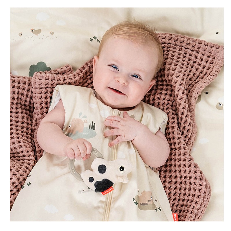 Mordedor Sensorial Dotti Arena Done By Deer - Imagen 1