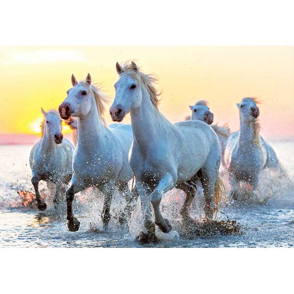 Puzzle 1000p Cavalls Blancs al Capvespre - Imatge 1