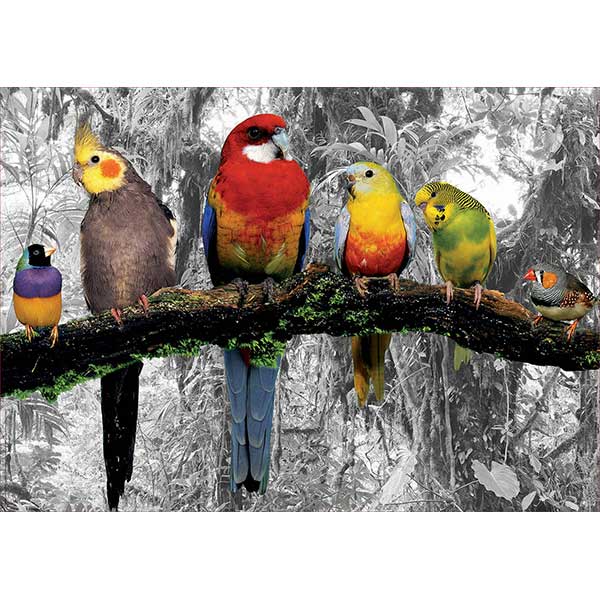 Puzzle 500p Pájaros en la Jungla - Imatge 1