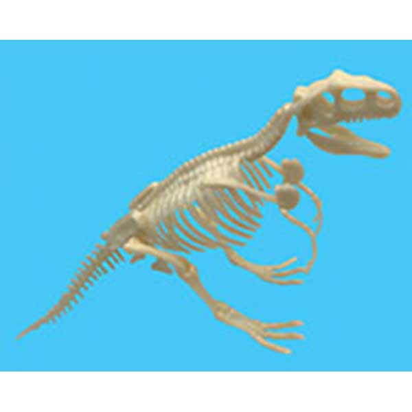 Esqueleto T-Rex para Montar - Imagem 1