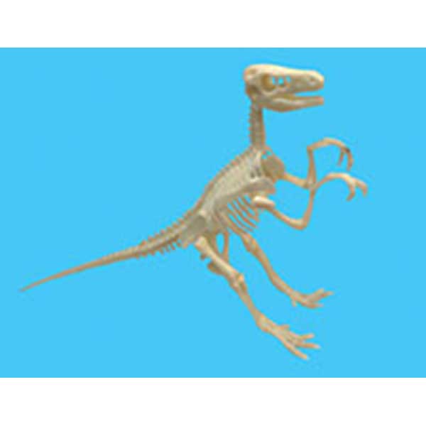 Esqueleto Velociraptor para Montar - Imagen 1