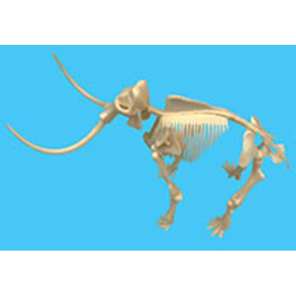 Esqueleto Mammoth para Montar - Imagem 1