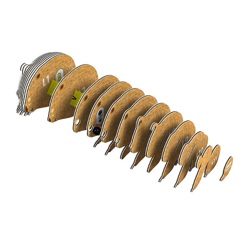 Eugy Puzzle 3D Wombat - Imagen 2