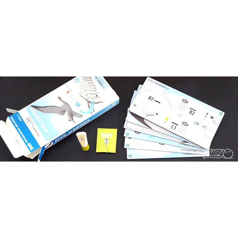 Eugy Puzzle 3D Albatros - Imagen 3