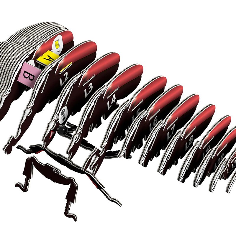 Eugy Puzzle 3D Escarabajo Goliath - Imagen 3