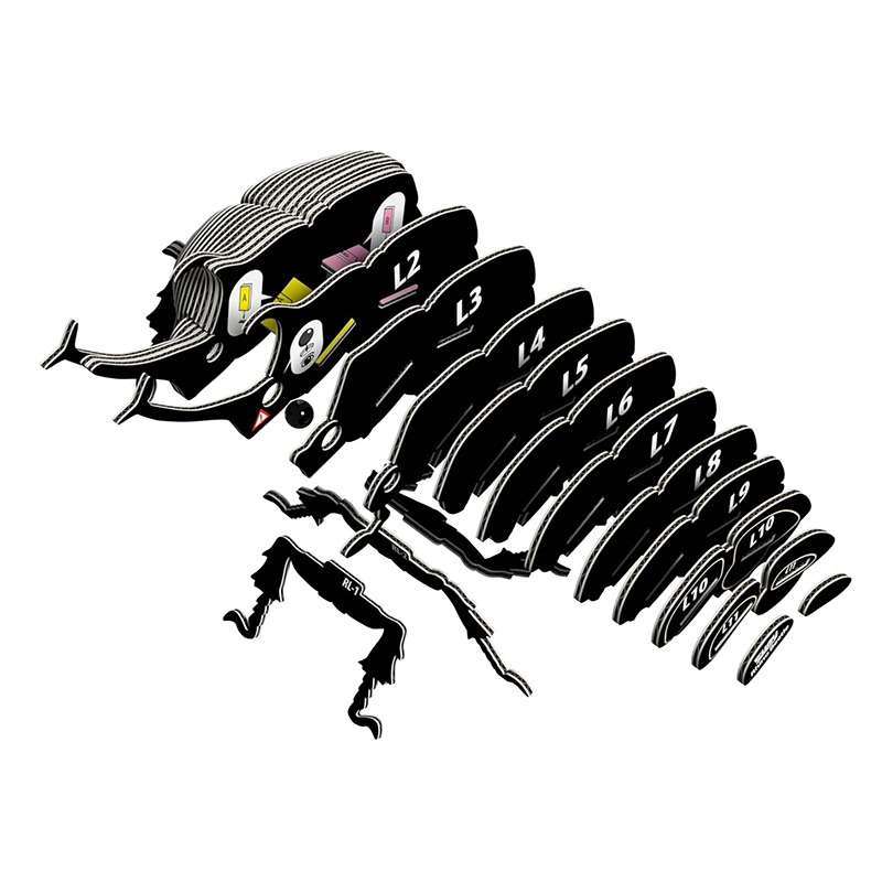 Eugy Puzzle 3D Escarabajo Rinoceronte - Imagen 2