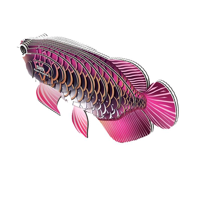 Eugy Puzzle 3D Pez Arowana Asiática - Imagen 3