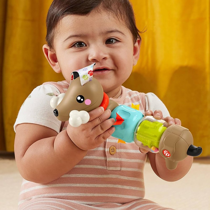 Fisher-Price Perrito Clip Spin Actividades - Imatge 