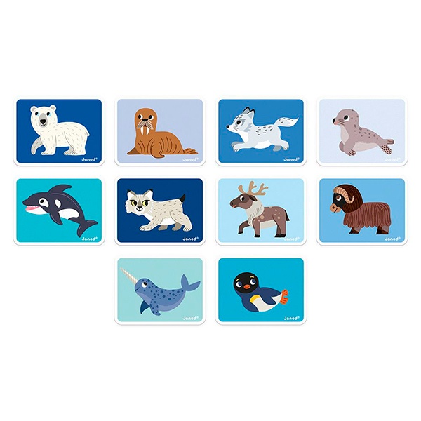 Janod Magnetic Book Animales Polares - Imagen 4