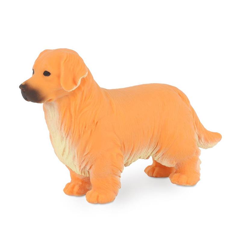 Perro Golden Retriever Stetchy