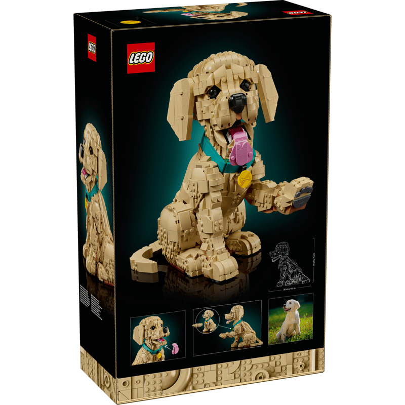 Lego Icons 11384 - Cachorro de Golden Retriever - Imagen 5