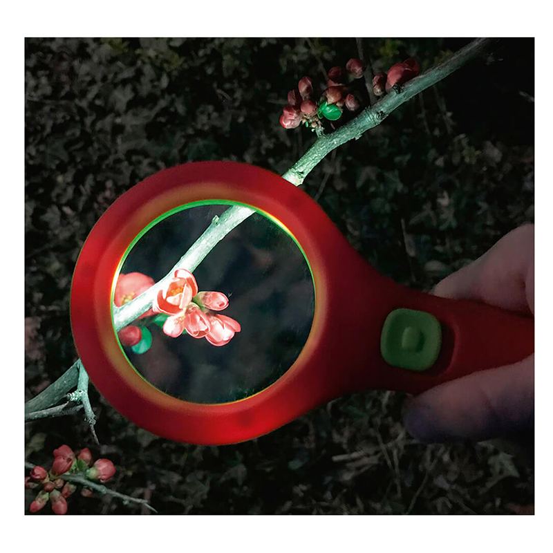 Lupa con Luz - Imagen 3