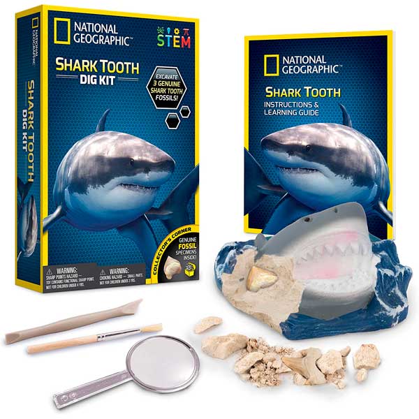National Geographic Descubre Diente Tiburón - Imagen 1