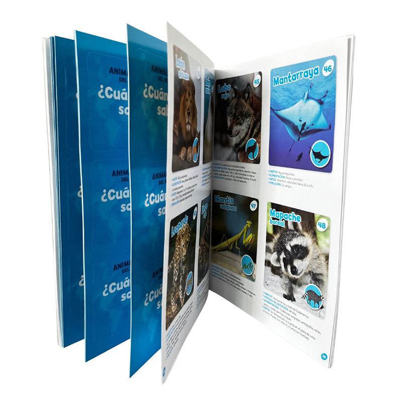 Kit Globo Terráqueo Hinchable el Mundo de los Animales - Imagen 2