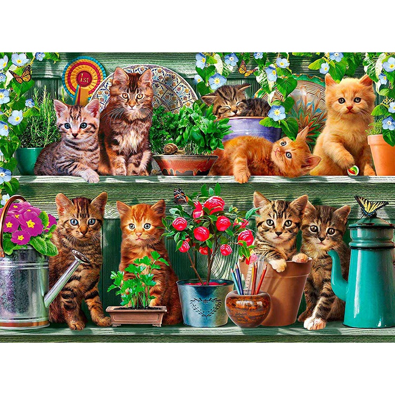 Puzzle 500p Gatos en la Estantería - Imagen 1