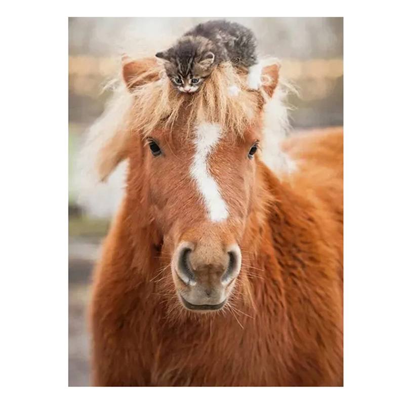 Puzzle 500p Caballo y Gatito - Imagen 1