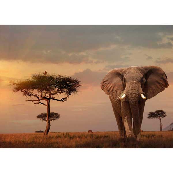 Puzzle 1000p Elefantes en Masai Mara - Imatge 1
