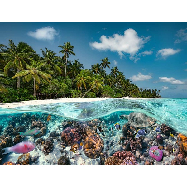 Puzzle 2000p Buceo en las Maldivas - Imatge 1