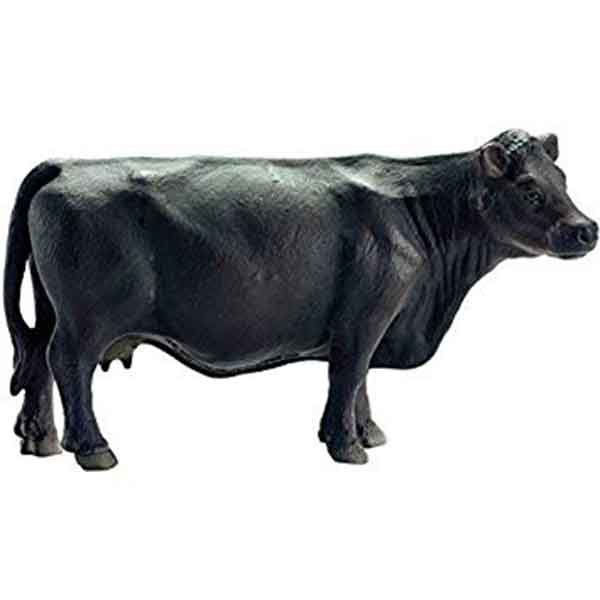 Schleich 13767 Figura Vaca Black Angus - Imagem 1