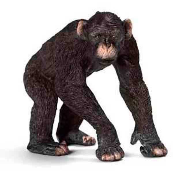 Chimpance Macho Schleich - Imagen 1