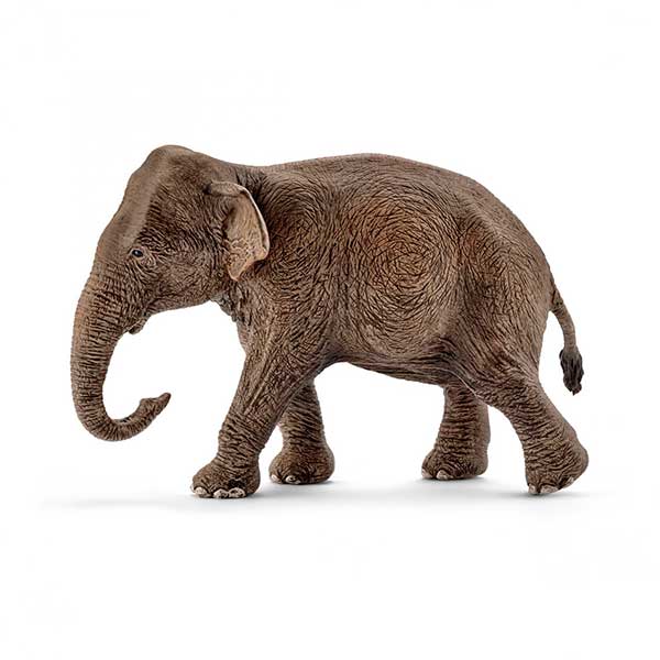 Schleich 14753 Figura Elefante Asiático Feminino - Imagem 1