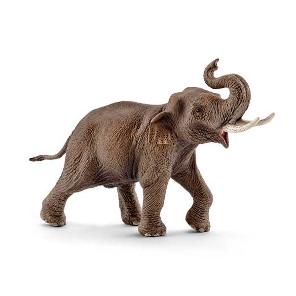 Schleich 14754 Figura Elefante Asiático Macho - Imagem 1
