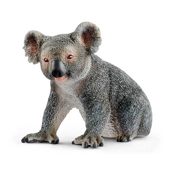 Schleich 14815 Figura Koala Macho - Imagen 1